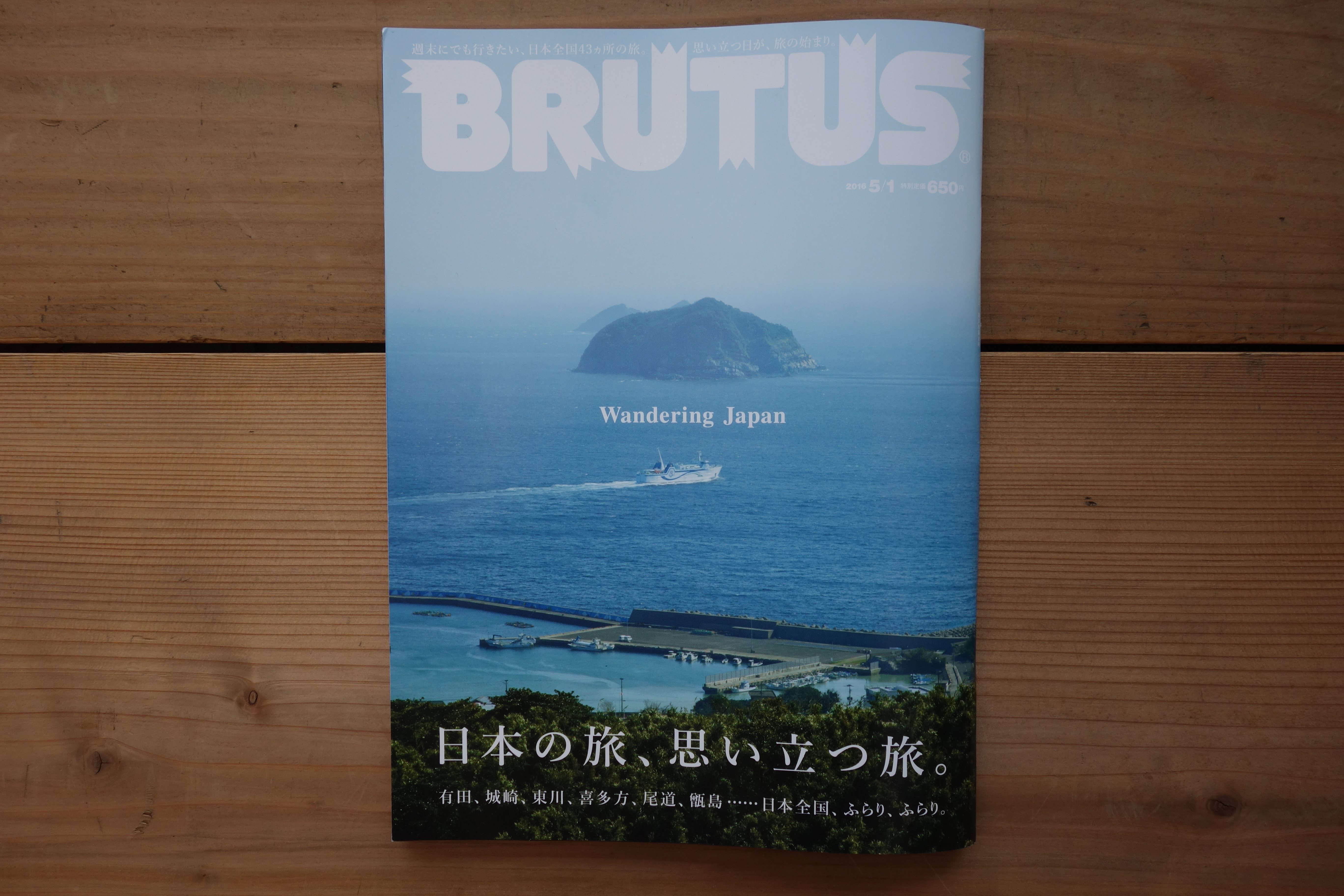 BRUTUS（森の家）
